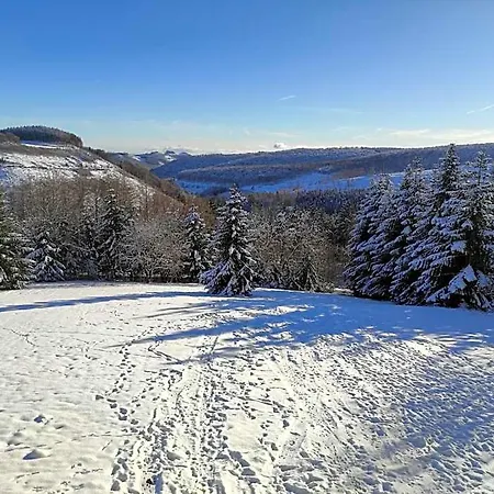 Lägenhetshotell Appart-hotel Harmonie Winterberg