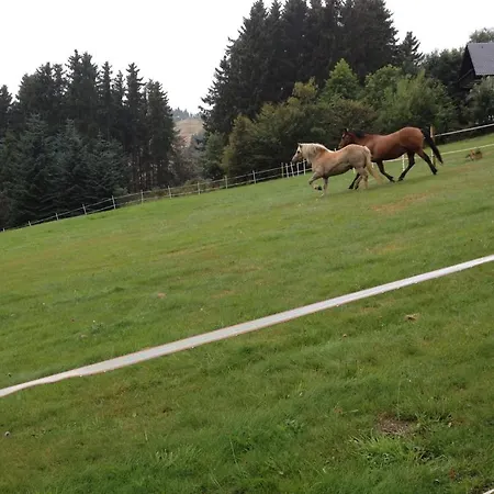 Appart-hotel Harmonie 3* Winterberg