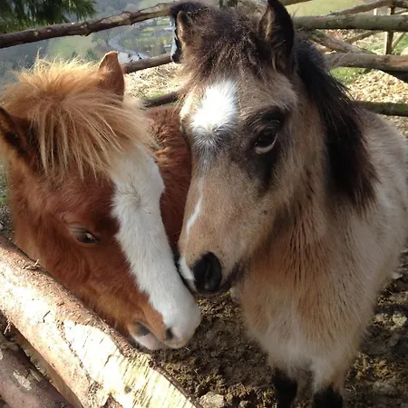 Appart-hotel Harmonie 3* وينتربرغ