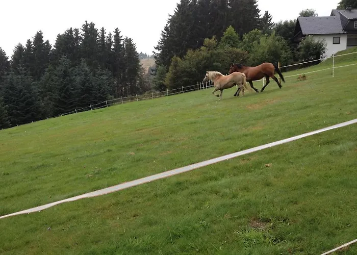 Appart-hotel Harmonie 3* Winterberg