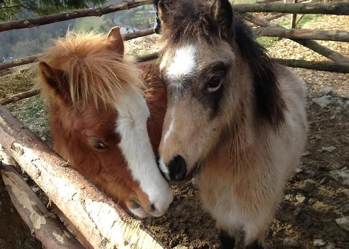 Appart-hotel Harmonie 3* Winterberg